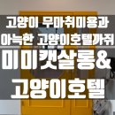 미미캣살롱&고양이호텔 | 고양이미용 깔끔하게 아늑한 호텔 영종도 운남동 전소 &#34;미미캣살롱&#34;