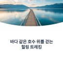 예당호느린호수길 | 예당호 출렁다리부터 느린호수길까지! 탐방 가이드