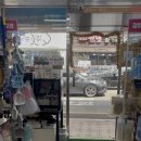 펫장터24