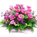 중마복지회관 이미지