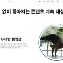 [단독]넷플릭스·디즈니·쿠팡 이어 유튜브 프리미엄도 가격 인상…월 1만4900원 이미지