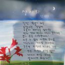 8월 30일. 한국의 탄생화와 부부사랑 / 상사화, 백양꽃 이미지