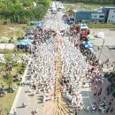 의령큰줄땡기기 이미지