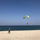 연곡해변 솔향기캠핑장 이미지