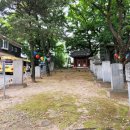 구성농협 삼거리 이미지