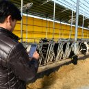 홍성축산 이미지