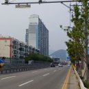 산호동333 이미지