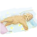 성도약국 이미지