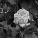 미션나라 이미지