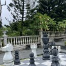 동양카프라자 | 다낭 혼자 바나힐 2편 | 해리포터 호그와트 분위기•프랑스 마을 포토존 정복