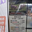 신성문구 | 대전 신성동 삼겹살 무한리필 '조와따대패삼겹무한리필 신성점' 방문 후기