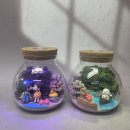 유지공작소 | 어린이 체험 추천_테라리움_딴짓공작소 어린이 클래스 후기