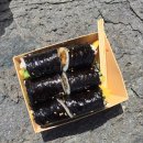 마리짱부경대역점