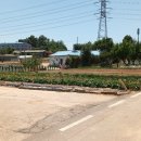 오성2농장 이미지