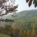 남서울컨트리클럽제2연습장 이미지