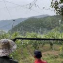 장터농장 이미지