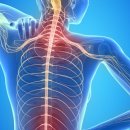 라인메디칼 이미지