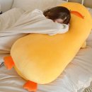 (주)바디로 이미지