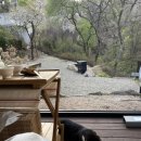 스테이율 이미지