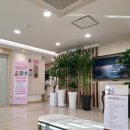 소피마르소여성의원 | 대구 요실금수술