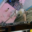 살랑살랑 반려견미용실 | 대전 문화동 애견미용 대형CCTV와 운동장이 있는 강아지 미용 잘 하는 곳 | 도그하우스