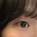 영구리당당 네이버블로그