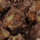 안중로100번길 이미지