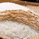 천식품