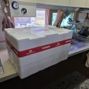 원일농수산 | 러시아 활대게 시세 3만원대 수율 찌는 법 시간 후기