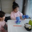 스파시스 이미지