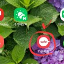 행복한 꽃 이미지