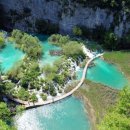 글로벌여행사 이미지