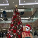 아산우리약국 | 중기 초음파, 신경관 결손(NTD) 검사 결과, 서울아산병원 산부인과 정진훈 교수님, 40대 시험관 후 임신...