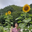 비수구미 1 이미지