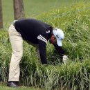 S골프아카데미 이미지