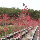 용기농장 이미지