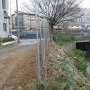 이중인 묘 이미지