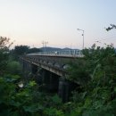 영천 구 화룡교 네이버블로그