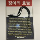 대영장어 | 이천장어맛집 이천가족외식장소 스태미나장어하우스 솔직후기