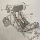 휘트니스오름 모충점 이미지