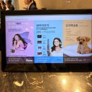 제로네 펫쌀롱 | 강릉 세인트존스 호텔 애견동반 1박2일 후기 펫트윈 예약 꿀팁