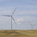 호정태양광발전소 이미지