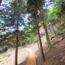 세동천 | &lt;진안&gt; 전북 아이와 가볼만한곳 여행지 추천 드라마 촬영지 - 수선루