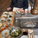 마니주면 돼지