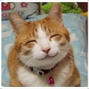 227 이미지
