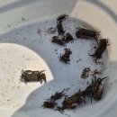 금호펜션 | 부안군 바다펜션 곰소항 내소사 근처 하이얀펜션