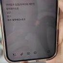 [도쿄/가치도키] TANUKI APPETIZING 타누키 에피타이징 베이글 오픈런 후기