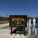 동남다육