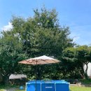 소천월가 이미지