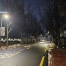 정동프라자 | 더 플라자 호텔 서울 호캉스 후기 룸서비스 불고기, 버거까지 먹어본 1박